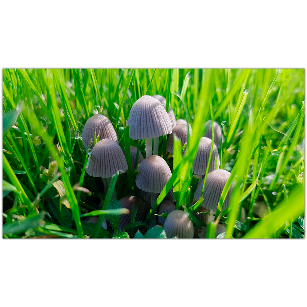 Fotos – eget format