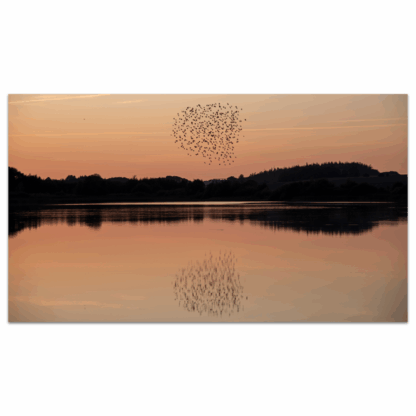 Fotos - eget format