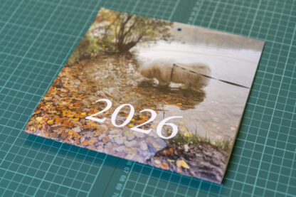 21 x 42 kalender