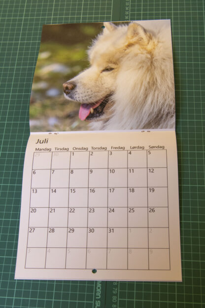 21 x 42 kalender