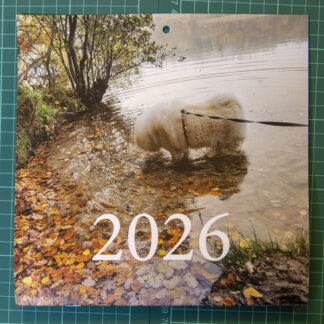 21 x 42 kalender