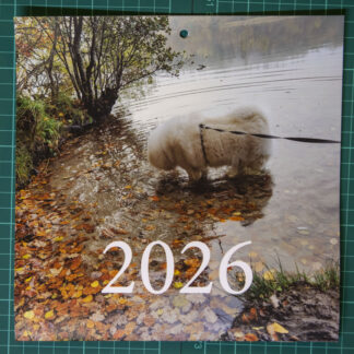 21 x 42 kalender