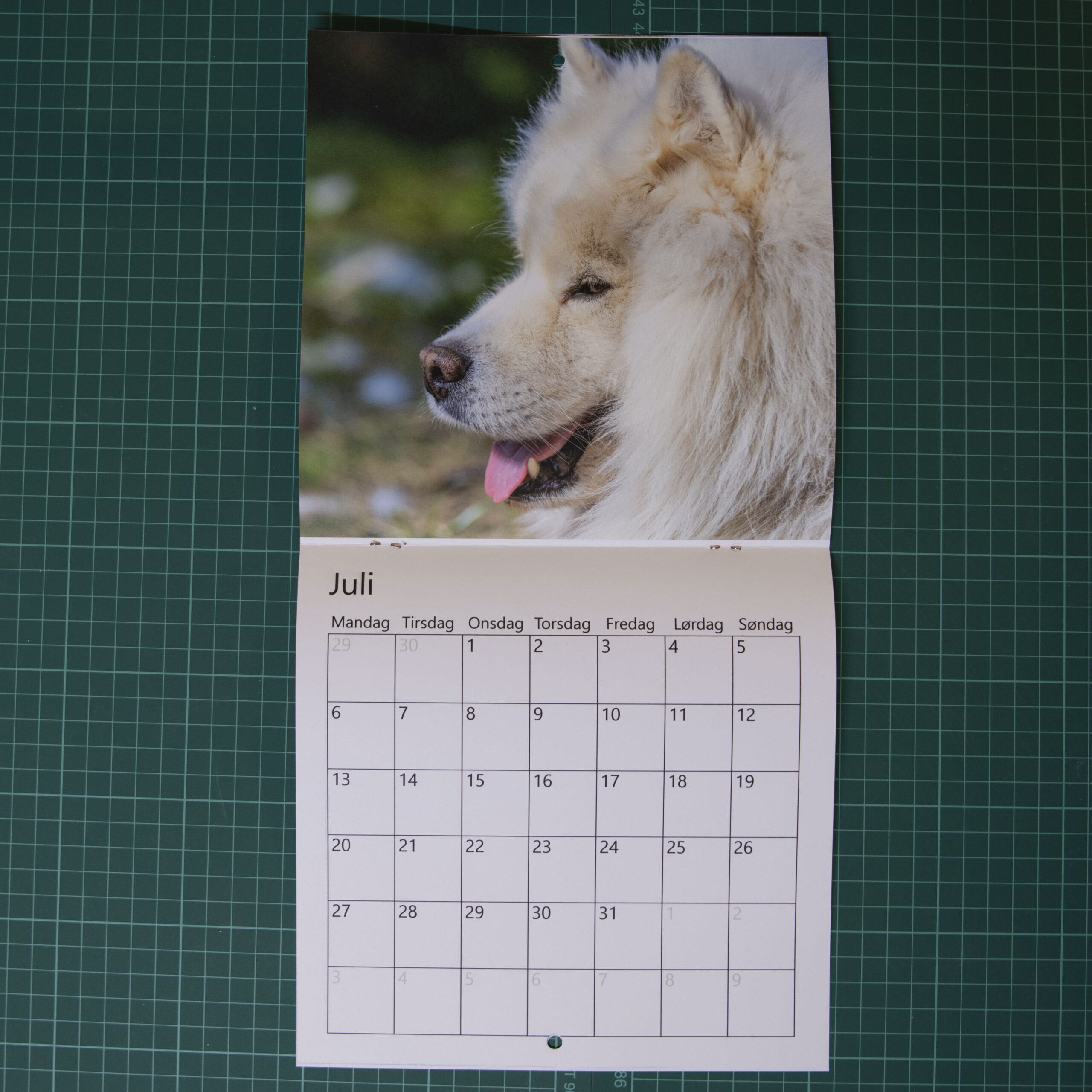 21 x 42 kalender